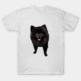 Pomeranian Black Beauty T-Shirt